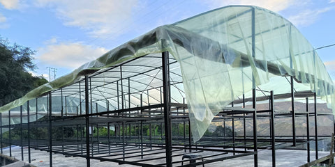 Nuestro nuevo secadero de café esta listo