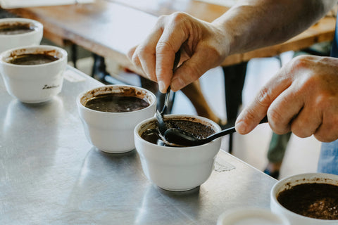 Guía de cata casera para entender tu café