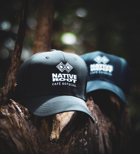 Gorra de béisbol Raíces
