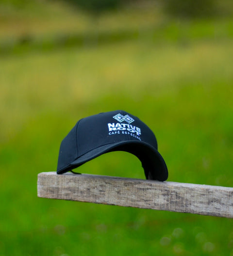 Gorra de béisbol Raíces