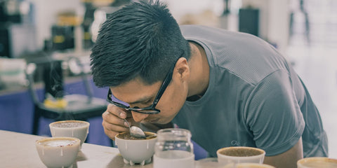 Café artesanal de especialidad con aromas únicos - Native Root Coffee