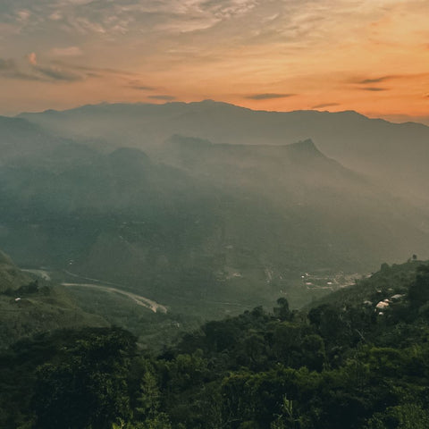 CRAFT COFFEE FROM COLOMBIA
